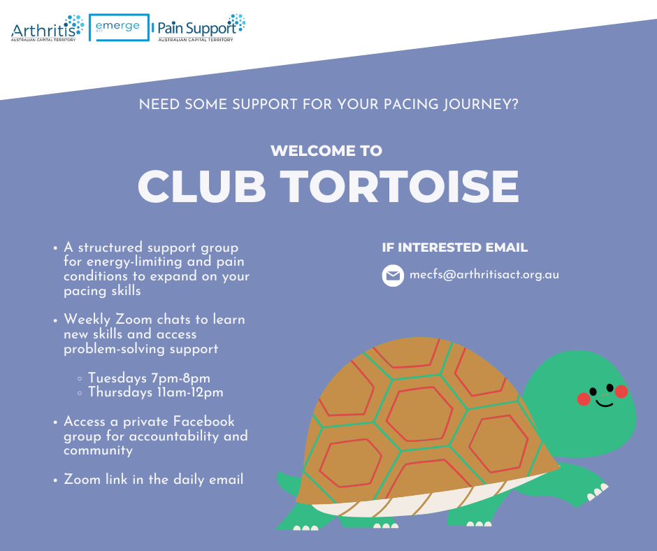 Club Tortoise Flyer